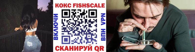 Cocaine Fish Scale  Купить  Богородск 