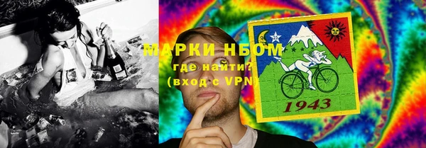 стафф Алексин